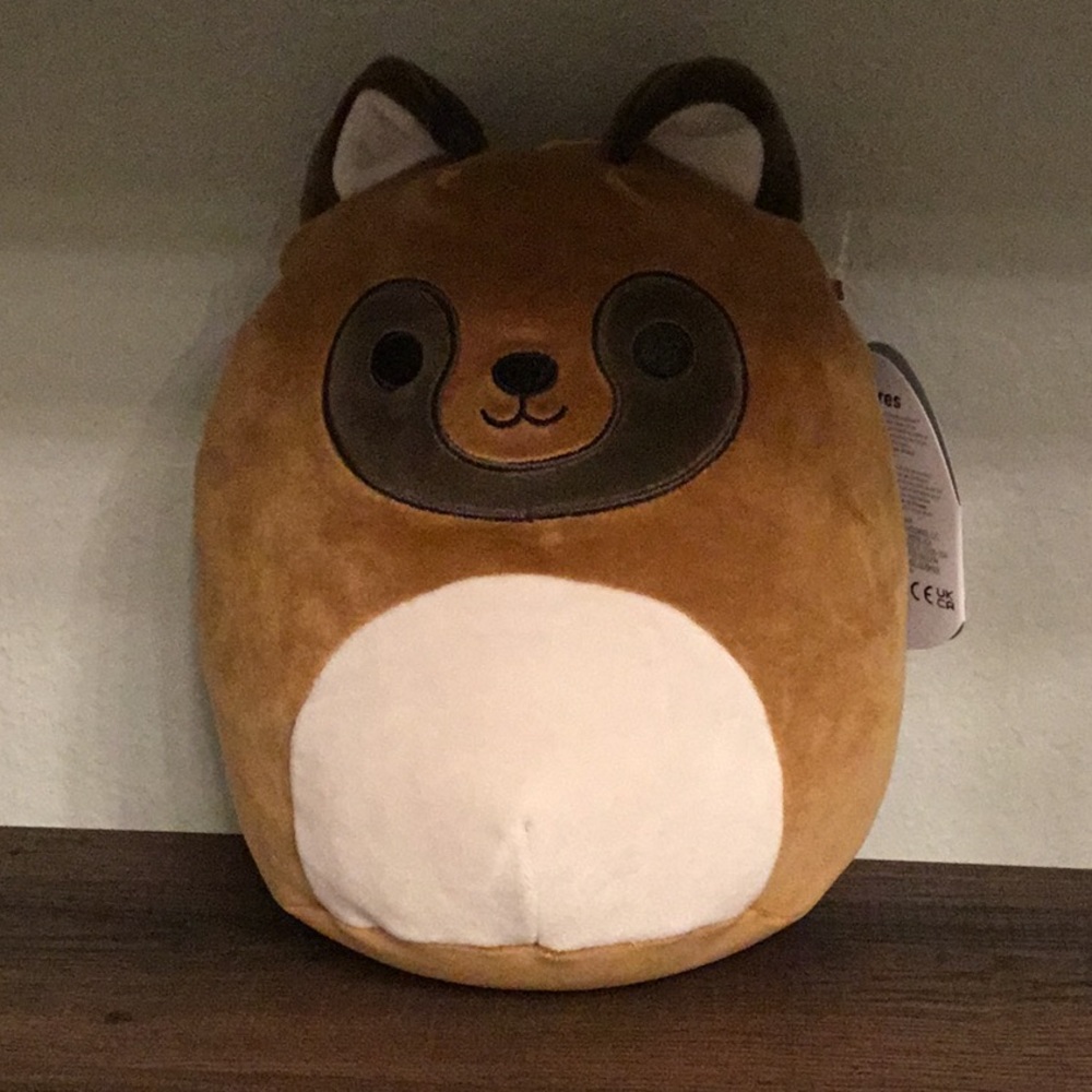 Tabuk  the raccoon